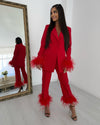 Feathers Suit - Red